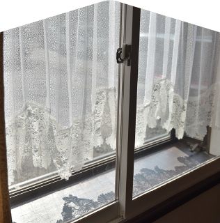 補助金利用エコリフォーム