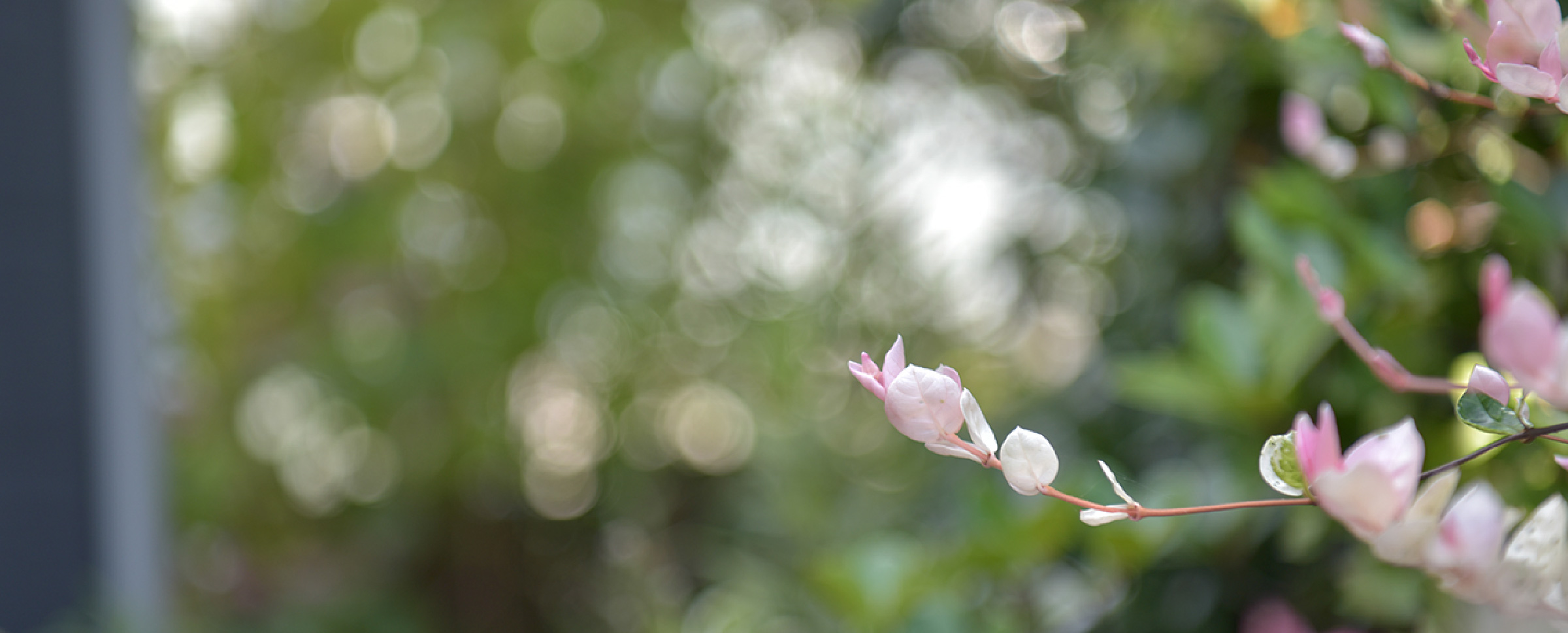 Service 補助金利用エコリフォーム